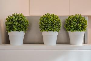 Guest Planet - Arco della pace studio