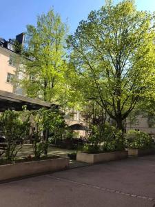 Cozy two-bedroom apartment close to the city center