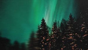 Luxe cabin in Hovfjället with Hot Tub