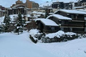 Bright studio in the heart of Les Deux Alpes