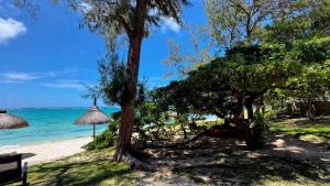 BlueMoon Villa - Authentic, seaside living