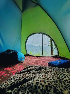 Cindrella Sky Nest Camp Ella