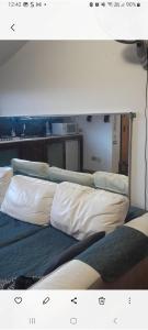 Aqua vida metro cagliari molentargius parck img4