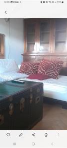 Aqua vida metro cagliari molentargius parck img9