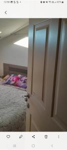 Aqua vida metro cagliari molentargius parck img10