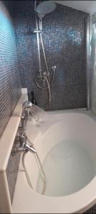 Aqua vida metro cagliari molentargius parck img15