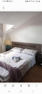 Aqua vida metro cagliari molentargius parck img21