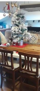 Aqua vida metro cagliari molentargius parck img24