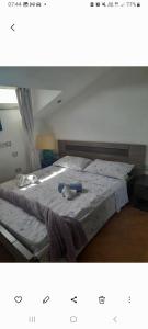 Aqua vida metro cagliari molentargius parck img46