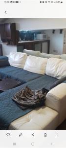 Aqua vida metro cagliari molentargius parck img49