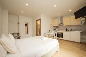 City Garden House by Hosty