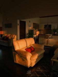 The Upper Deck