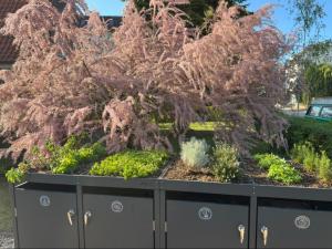 Gemütliche Wohnung mit Wallbox und Klimaanlage