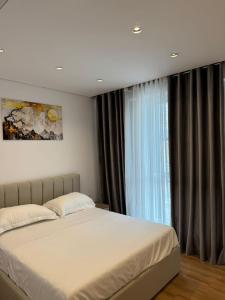 Kalpazo Rental Mosaic Tirana