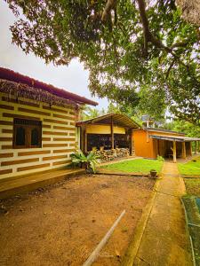 Elephant paradise Safari lodge