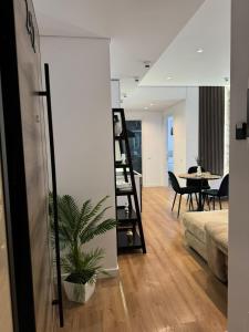 Kalpazo Rental Mosaic Tirana