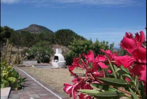 Villa Rosa Sea View img27