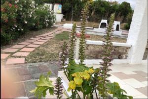 Villa Rosa Sea View img72