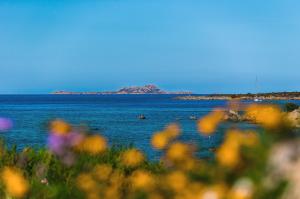 Marineledda appartamento le conchiglie img53