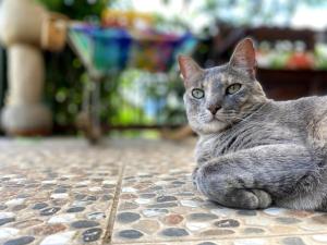 Rustic Coffee Cabin BBQ WiFi Jardín Antioquia