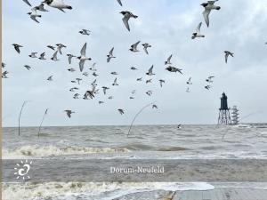 Ferienwohnung de Kattuul direkt am Nordseedeich