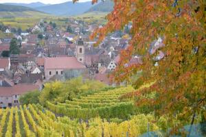 Le Millésime Gîte de Charme classé 4 étoiles sur les remparts - Animaux de compagnie acceptés