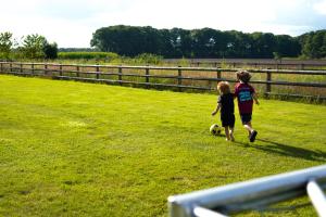 Vakantiehuis in Kempense landschap