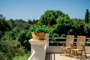 Villa Mila with private pool by Olivestone Village