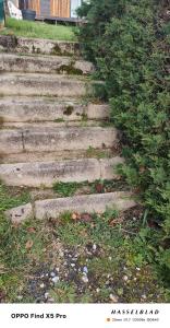 Le cocon normand studio de jardin et son écrin de verdure