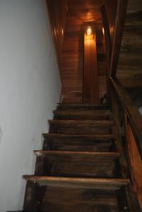 Dinu Villa
