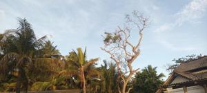 Blue Beach Hostel
