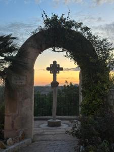 Es Pinar de Son Guillot