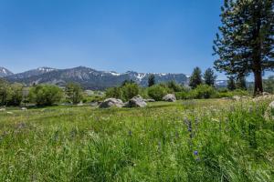 Mammoth Creek Unit 45