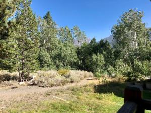 Mammoth Creek Unit 11