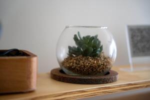 Brand New beachfront condo Jaco Surf and vibes