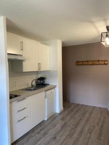 Chalets des Evettes- appartement vue montagne