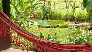 Rio Celeste Birds Garden Apartment with Air Conditioning Comfort and Privacy in a Natural Environment 4