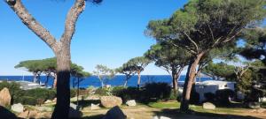 Appartement T3 climatisé Marine de SantAmbroggio