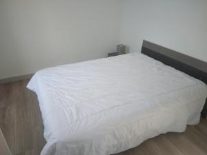 Appartement T2-Cambo-les-Bains