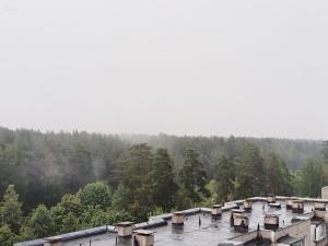 Horses Forests Lakes Shops