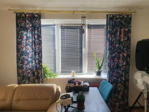 Horses Forests Lakes Shops