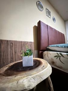 APARTAHOTEL, Casa Naranja 2