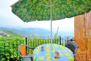 Il Giardino Dei Limoni