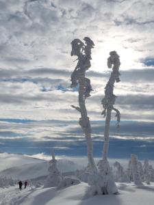SFERA LUXUSU - widok na góry, ogród na dachu i parking w cenie!