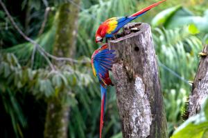 Mountain Top Park Hotel