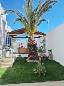 Dar Cally Maison d Artiste