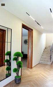 Dream House 1