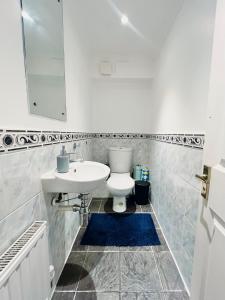 Big Ground-Floor Flat in Marylebone