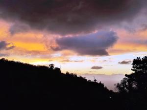 Alma-Maroon Klara & Rachel