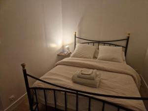 1 bedroom apartment near town centre and CHU